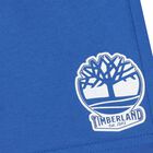 Boys White & Blue Logo Shorts Set, 1, hi-res