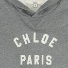 Girls Grey Logo Hooded Top, 1, hi-res