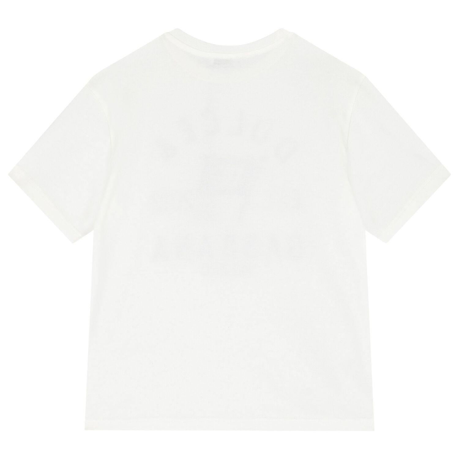 Boys White Cotton Flag Logo T-Shirt, 1, hi-res