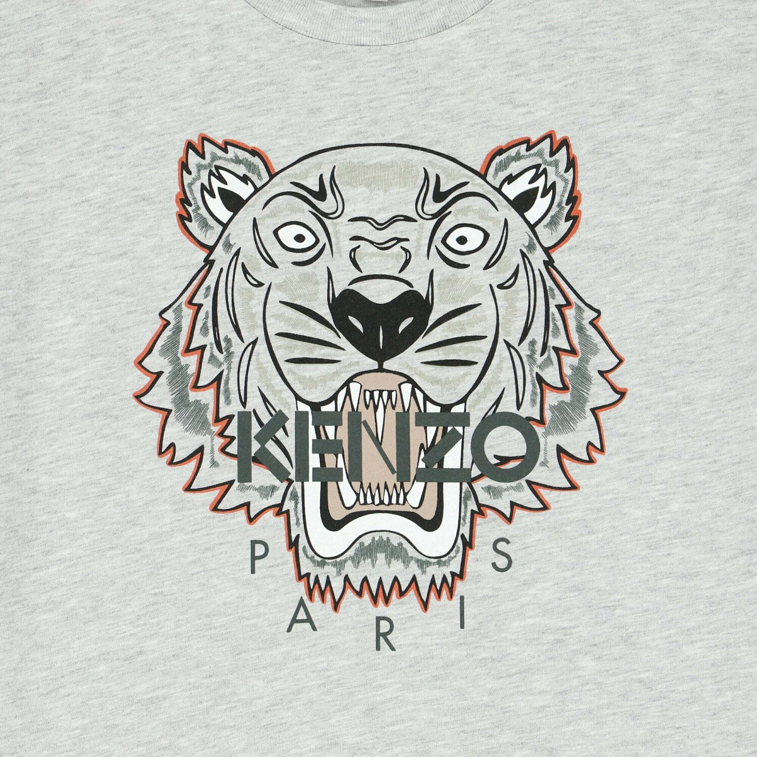Boys Grey Logo Tiger T-Shirt, 1, hi-res