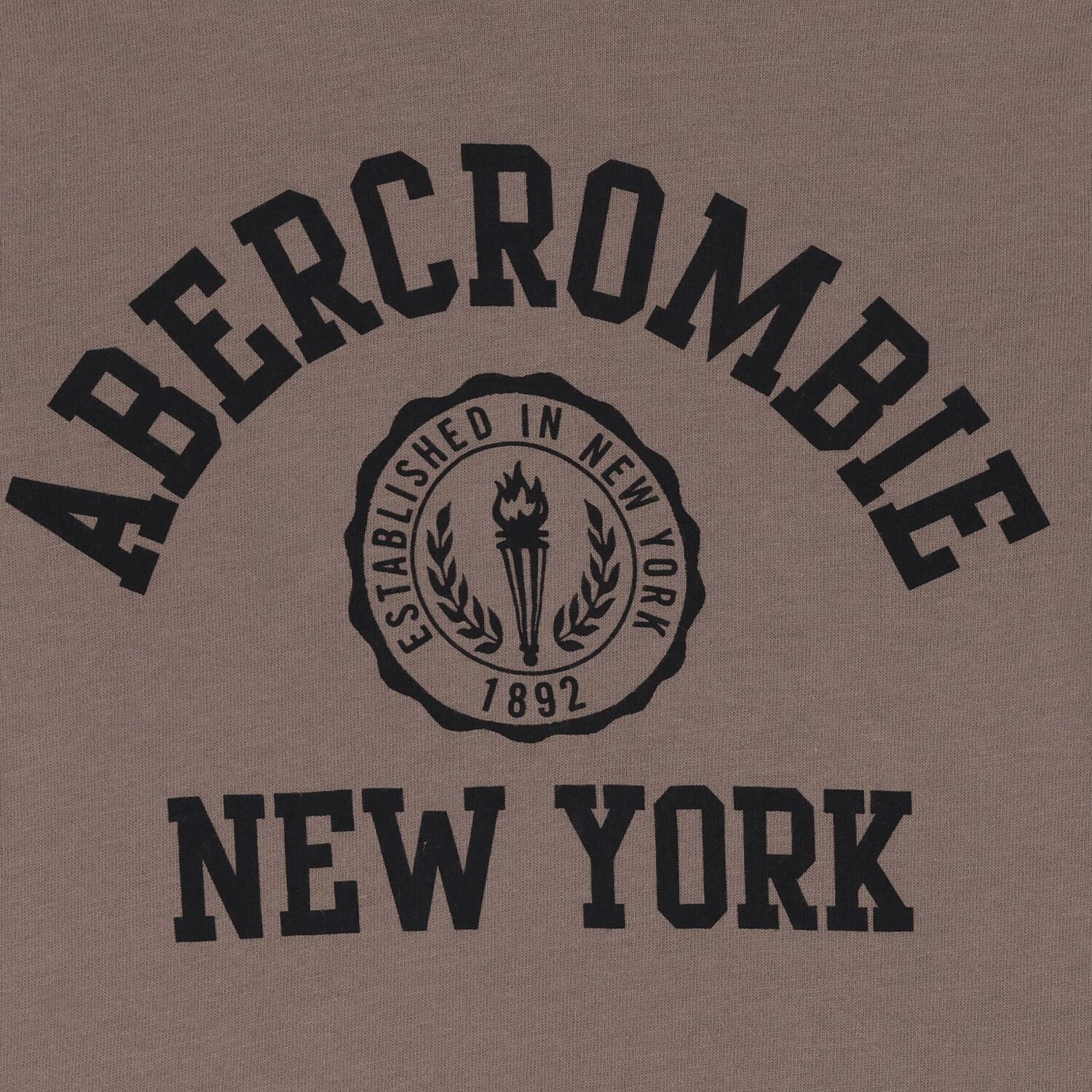 Boys Brown Logo Crest T-Shirt, 1, hi-res