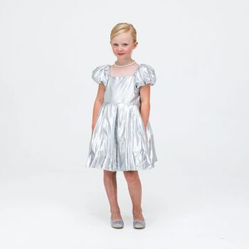 Girls Silver Dress