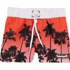 Boys Printed Swim Shorts, 1, hi-res