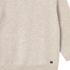 Younger Boys Beige Jumper, 1, hi-res