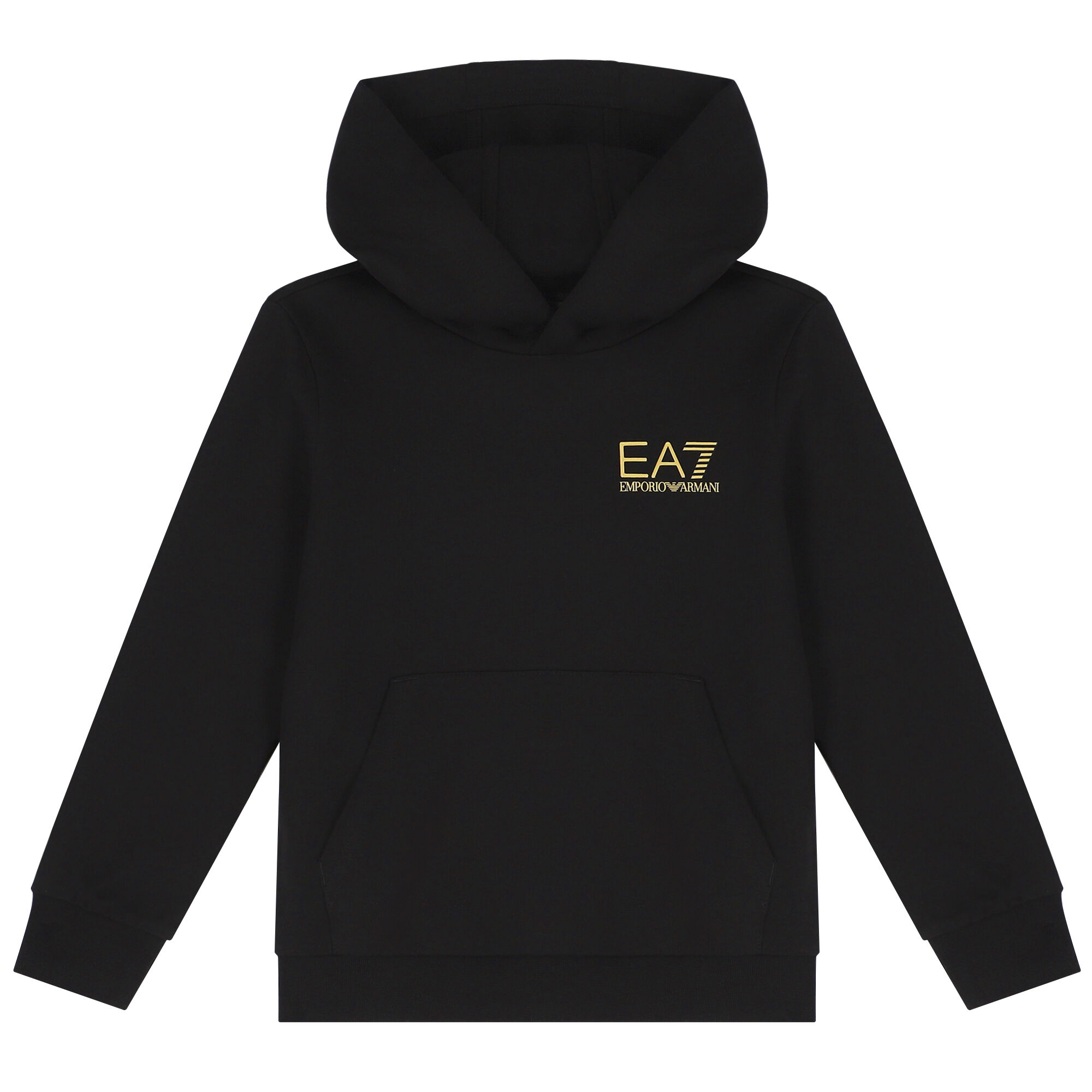 Emporio armani ea7 logo hot sale master hoodie