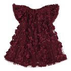 Baby Girls Burgundy 3D Flower & Sequin Ivy Dress, 2, hi-res
