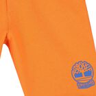 Boys Orange Logo Shorts, 3, hi-res