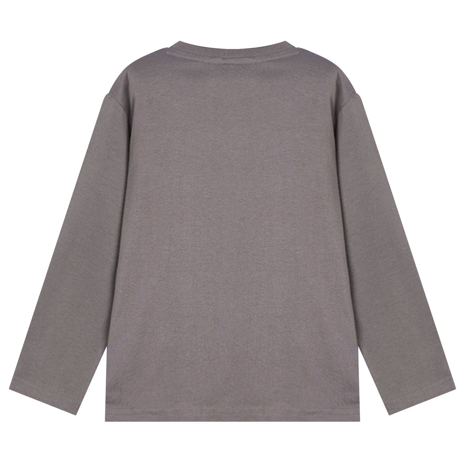 Boys Grey Dinosaur Long Sleeve Top, 1, hi-res image number null
