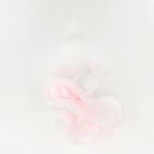 Baby Girls Ivory & Pink Floral Hat, 1, hi-res