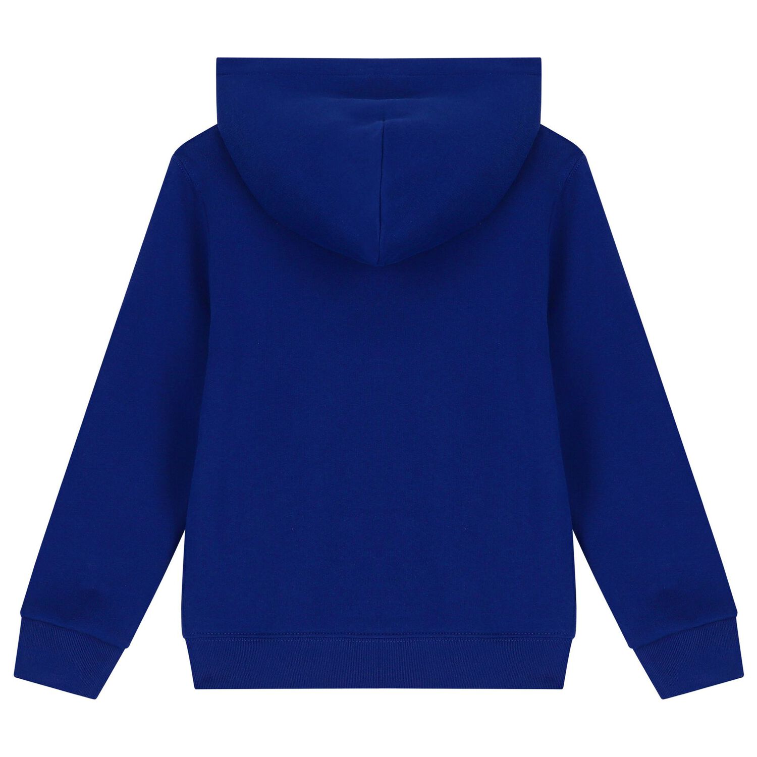Boys Blue Polo Bear Hooded Top, 2, hi-res image number null