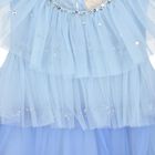 Girls Blue & Navy Embellished Tulle Dress, 1, hi-res