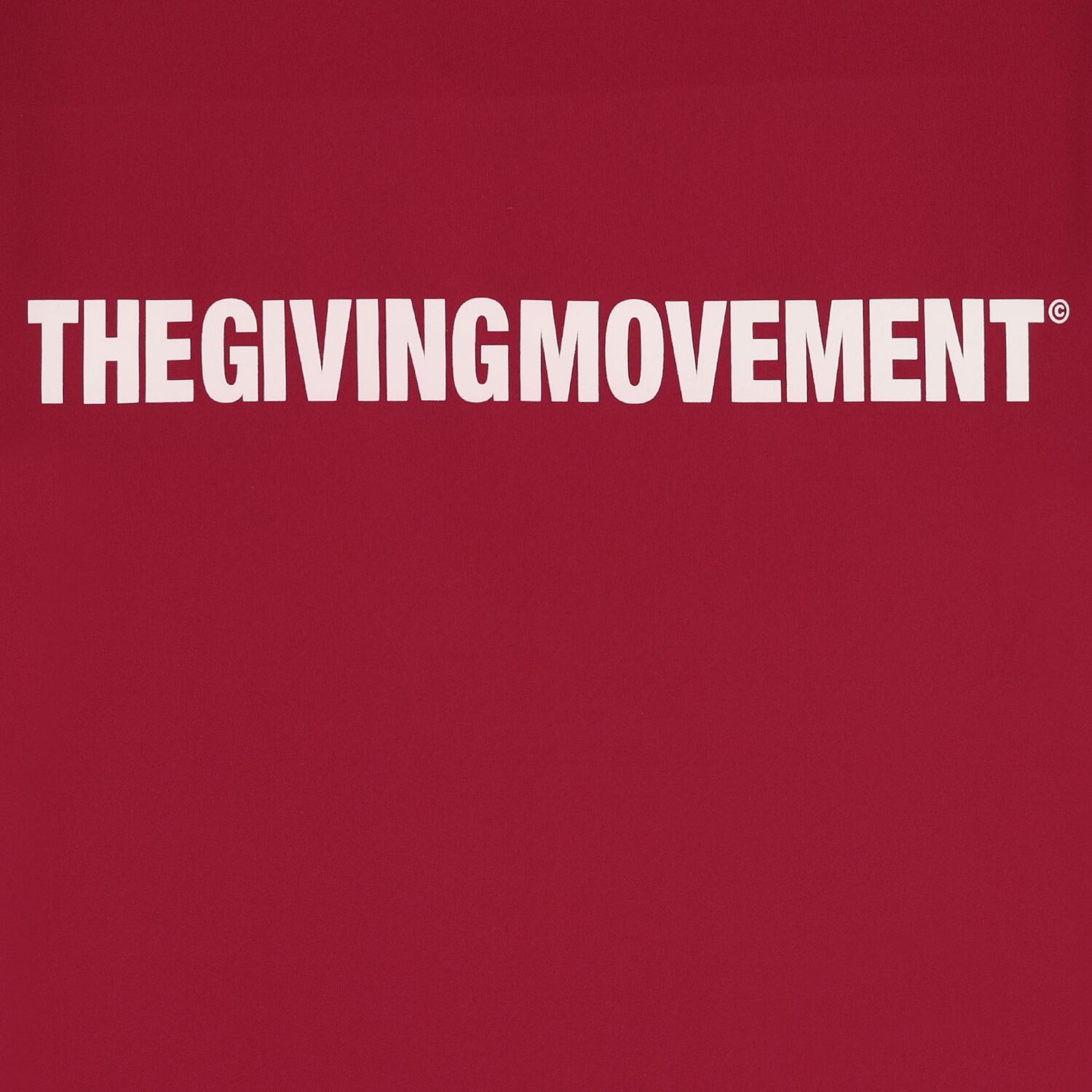 Burgundy Softskin Oversized Fit T-Shirt, 1, hi-res