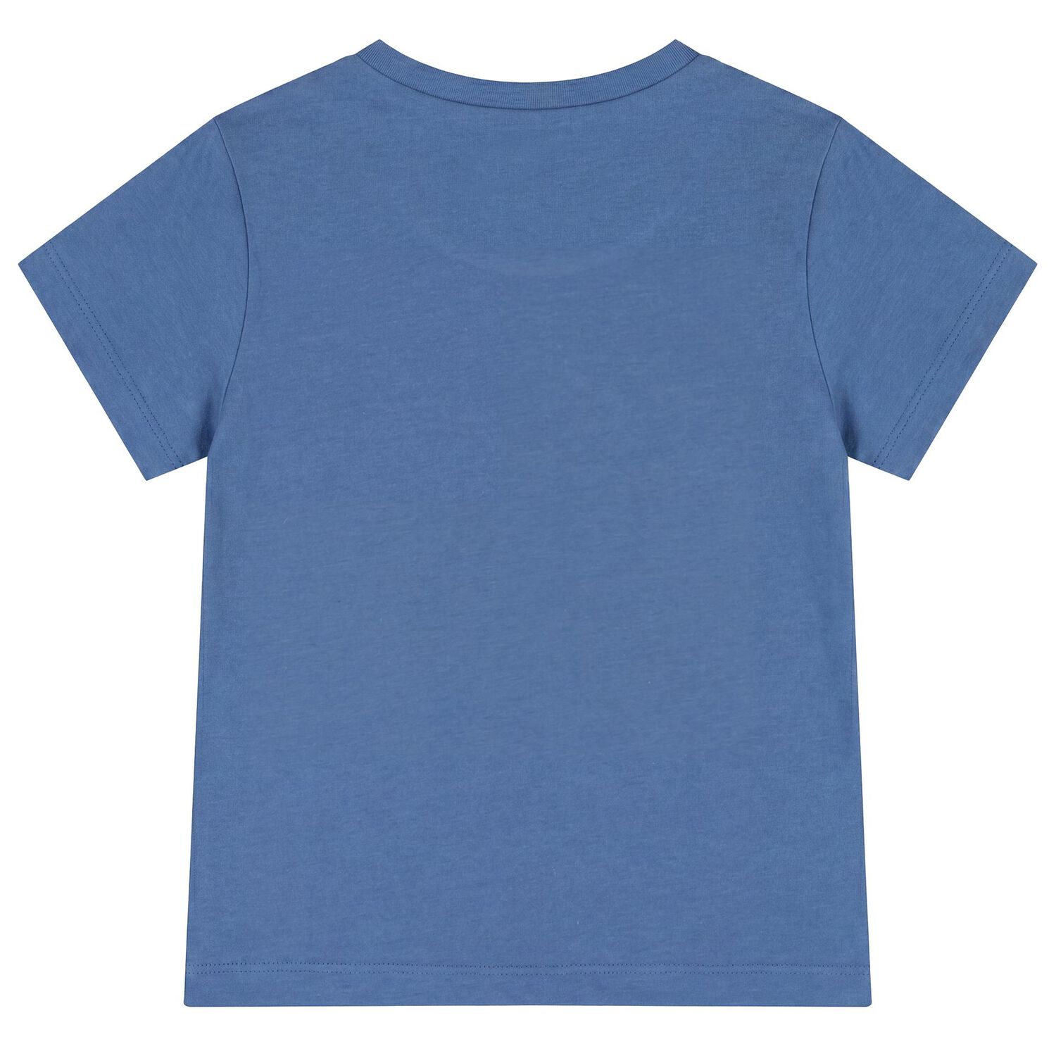 Younger Boys Blue Giraffe T-Shirt, 2, hi-res