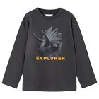 Boys Grey Dinosaur Long Sleeve Top, 1, hi-res