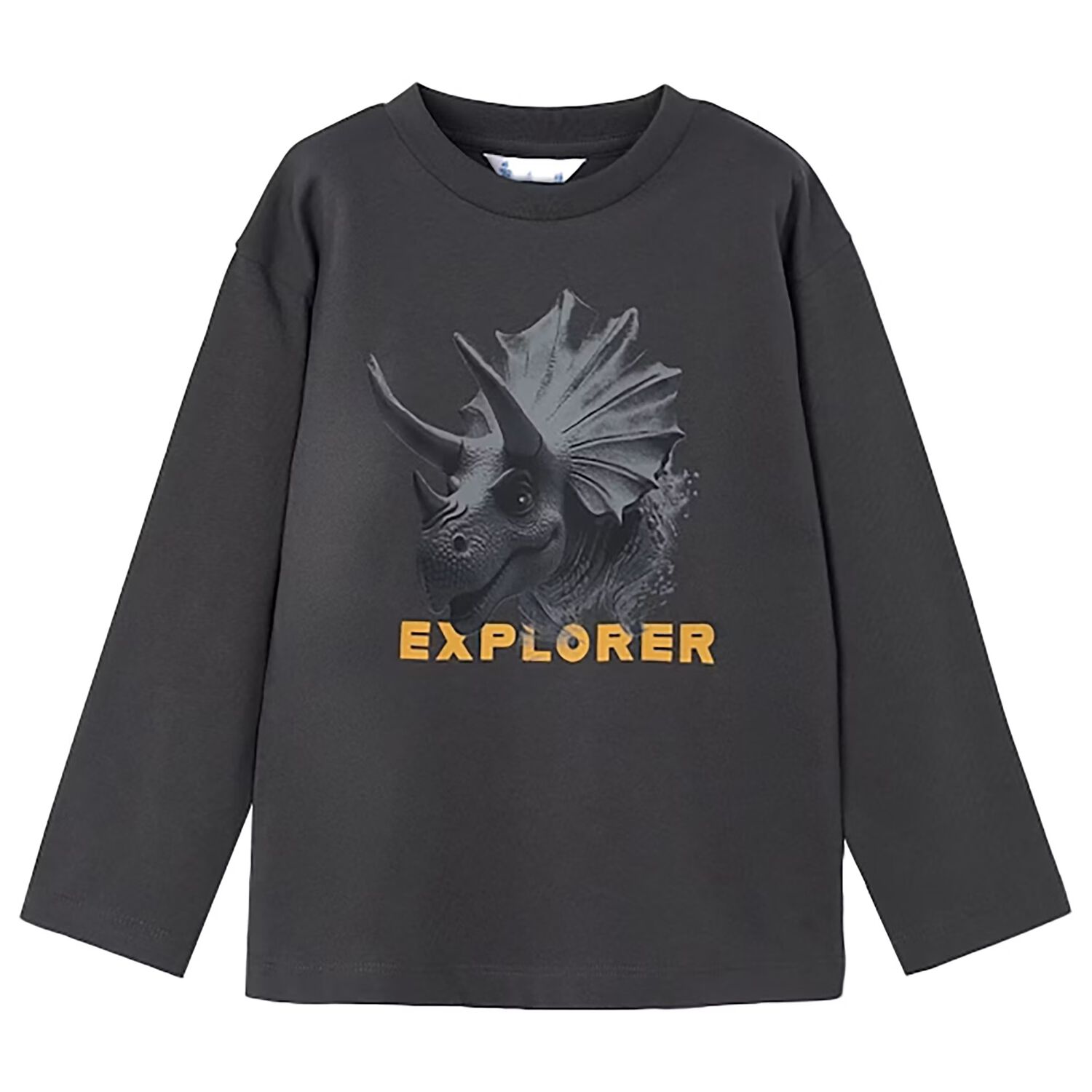 Boys Grey Dinosaur Long Sleeve Top, 1, hi-res
