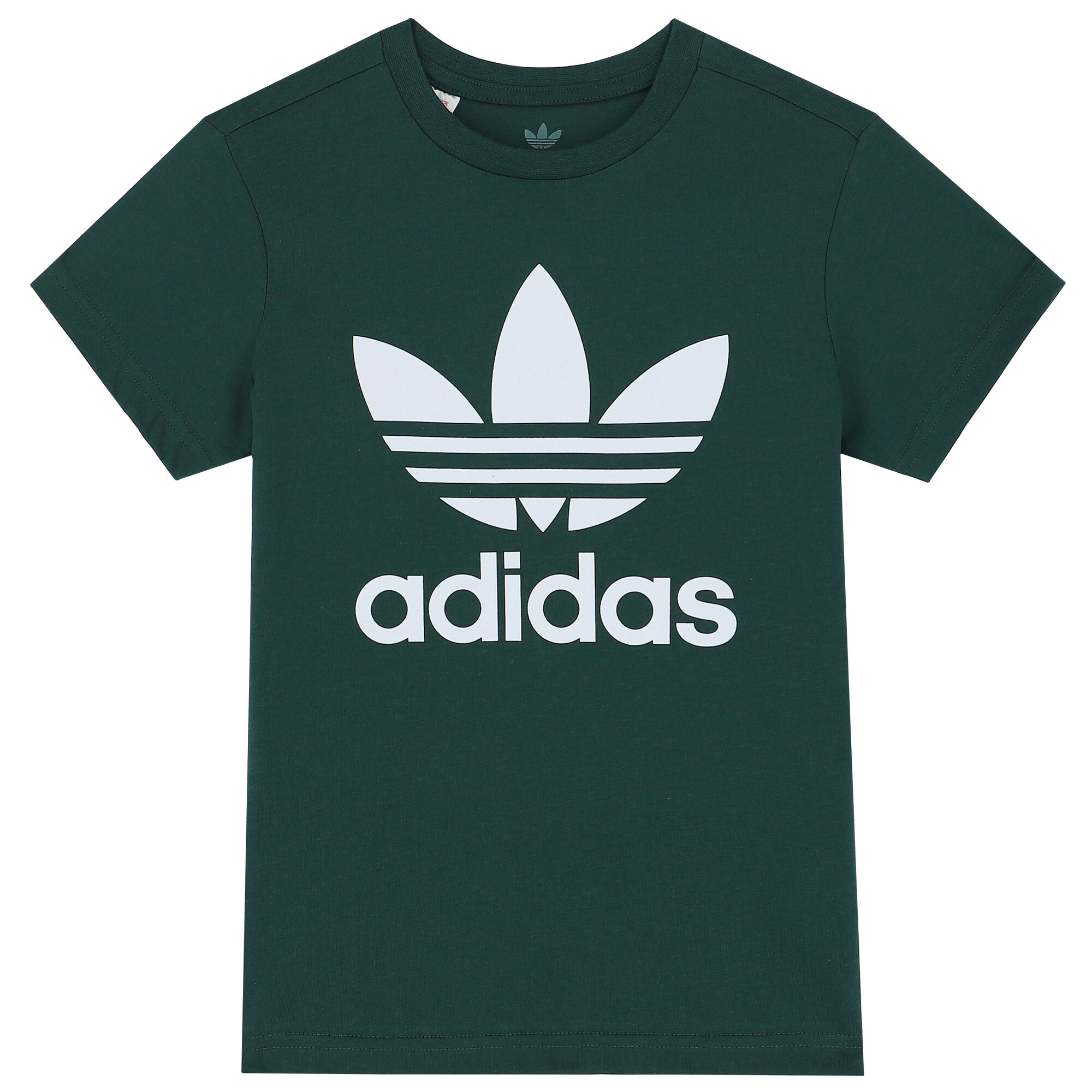 Green trefoil best sale
