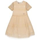 Girls Beige Embroidered Tulle Dress, 1, hi-res