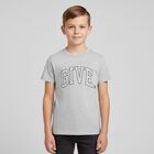 Boys Grey Logo T-Shirt, 2, hi-res