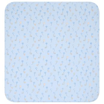 Baby Boys Blue Blanket