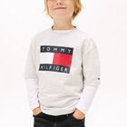 Boys Grey Logo T-Shirt, 2, hi-res