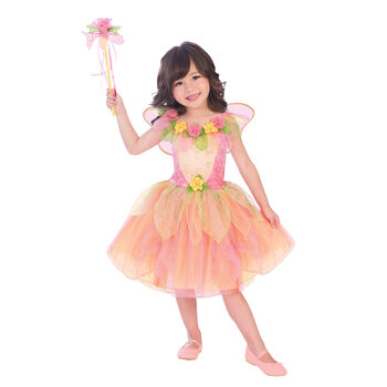 Girls Peach Sorbet Fairy Costume