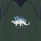 Baby Boys Green Dinosaur Sweatshirt, 1, hi-res