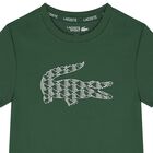 Boys Green Logo T-Shirt, 1, hi-res