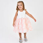 Baby Girls Ivory & Pink Roses Tulle Dress, 2, hi-res