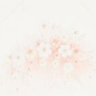 Baby Girls Ivory Floral Blanket Set, 2, hi-res