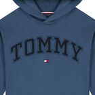 Boys Blue Logo Hooded Top, 1, hi-res
