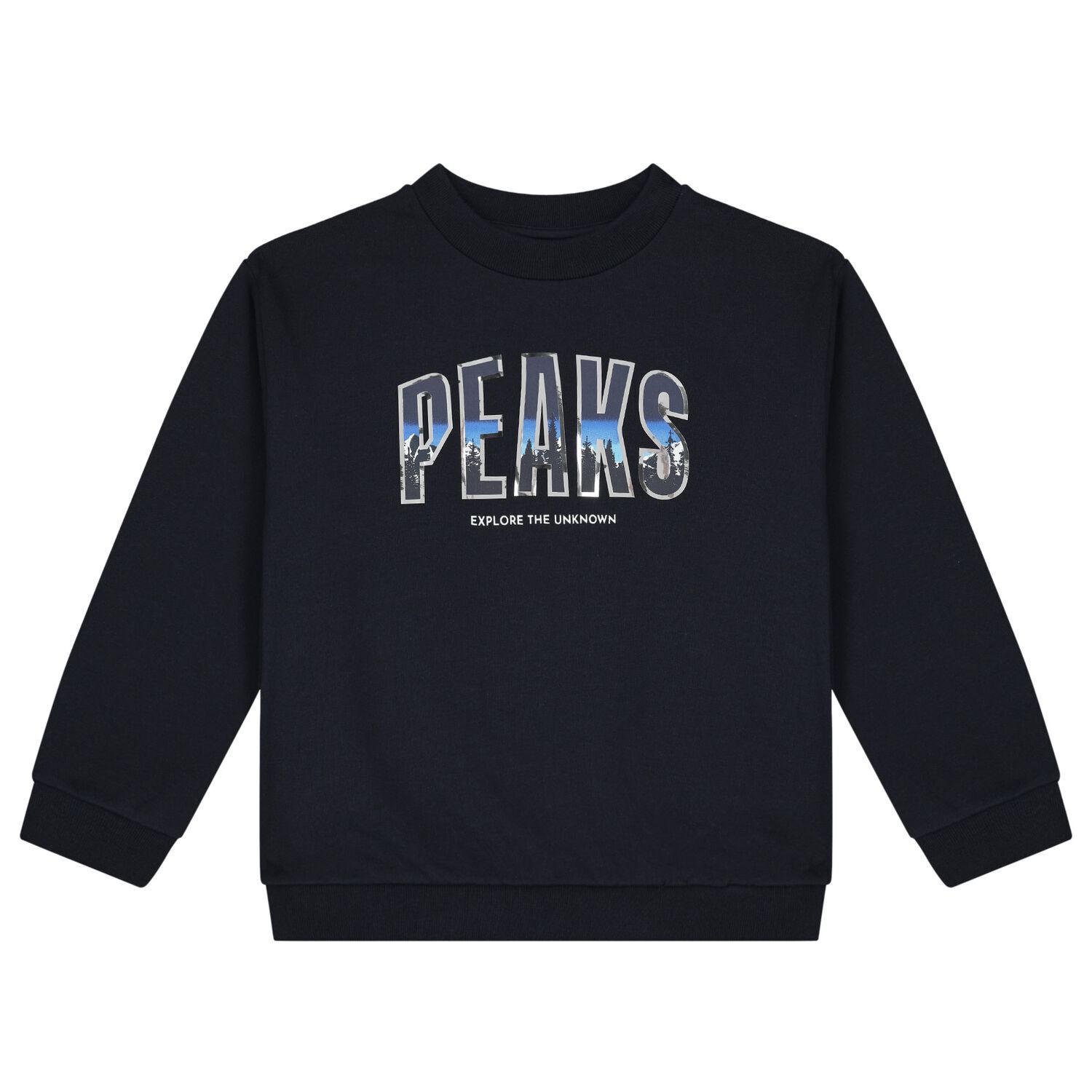 Boys Navy Blue Sweatshirt, 1, hi-res image number null