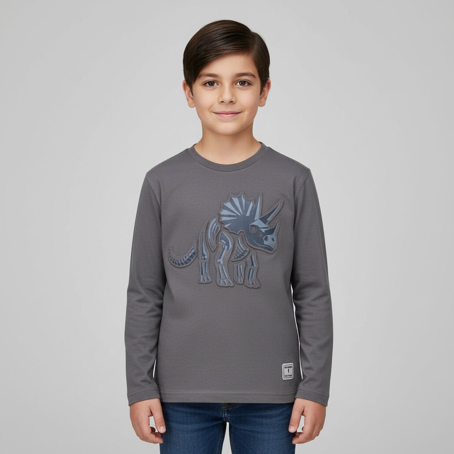 Boys Grey Dinosaur Long Sleeve Top, 2, hi-res image number null