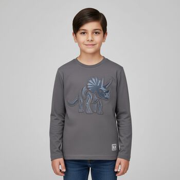 Boys Grey Dinosaur Long Sleeve Top
