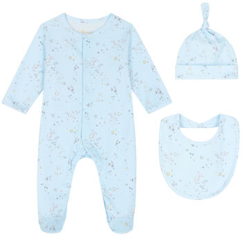 Baby Boys Blue Bird & Butterfly Babygrow Set