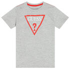Boys Grey Logo T-Shirt, 2, hi-res