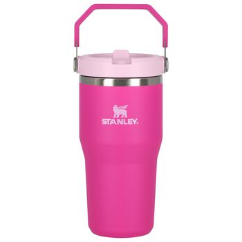 Girls Pink Ice Flow Flip Straw Tumbler