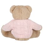 Girls Beige & Pink Teddy Bear Soft Toy ( 20cm ), 1, hi-res