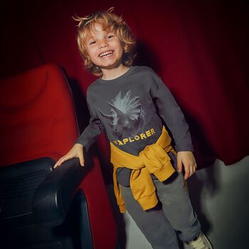 Boys Grey Dinosaur Long Sleeve Top