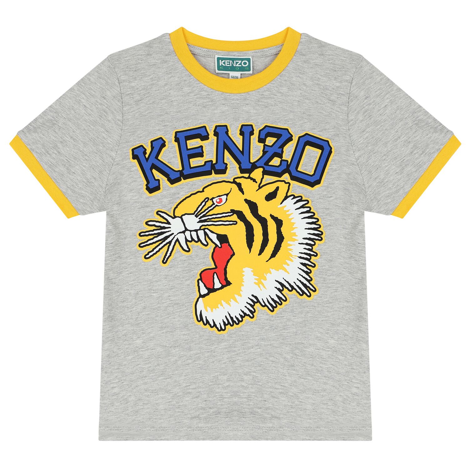 Boys Grey Varsity Tiger T-Shirt, 1, hi-res