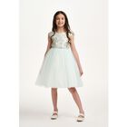 Girls Green Floral Jacquard Dress, 1, hi-res
