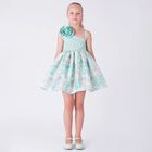 Girls Mint Green Floral Dress, 1, hi-res