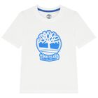 Boys White & Blue Logo Shorts Set, 1, hi-res