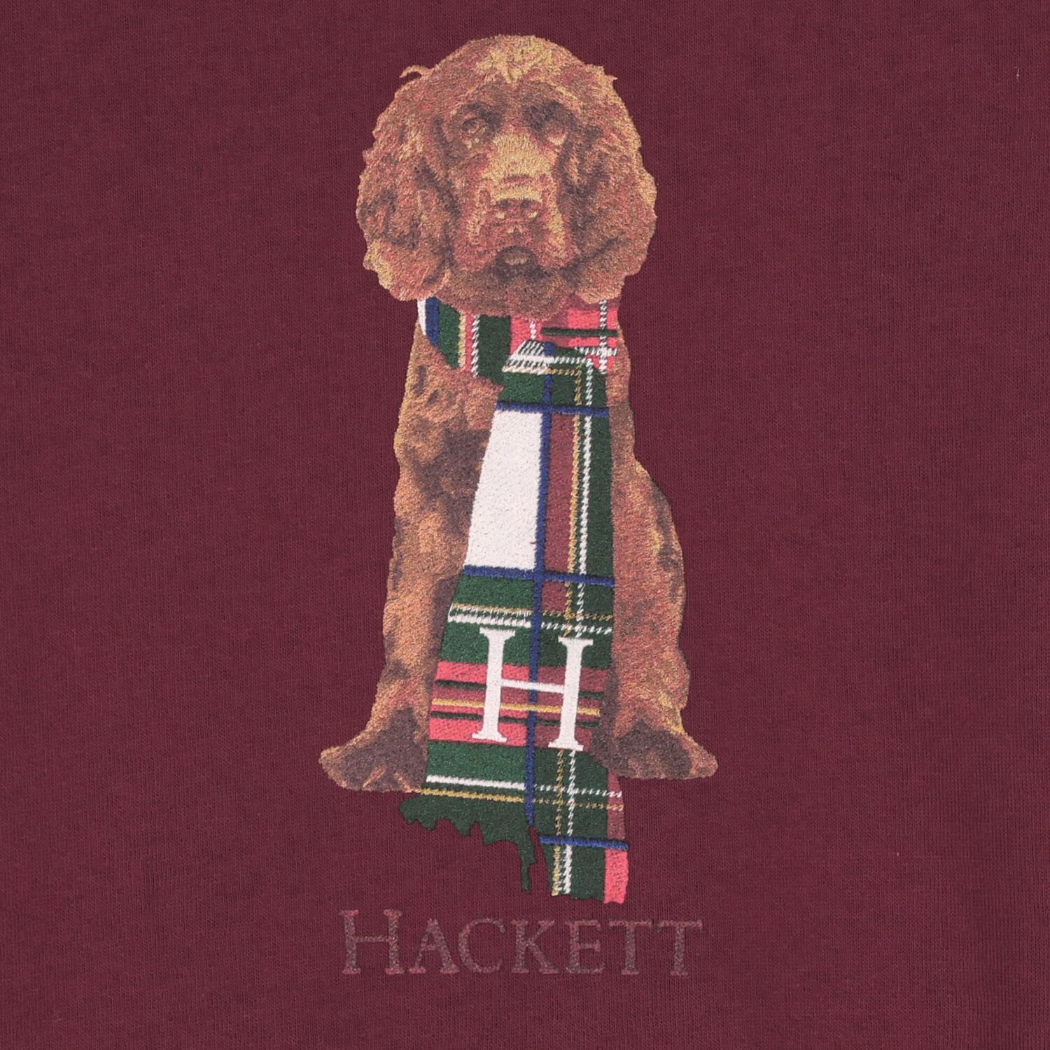 Boys Burgundy Dog Logo Sweatshirt, 1, hi-res