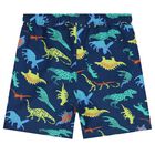 Boys Blue Swim Shorts, 1, hi-res