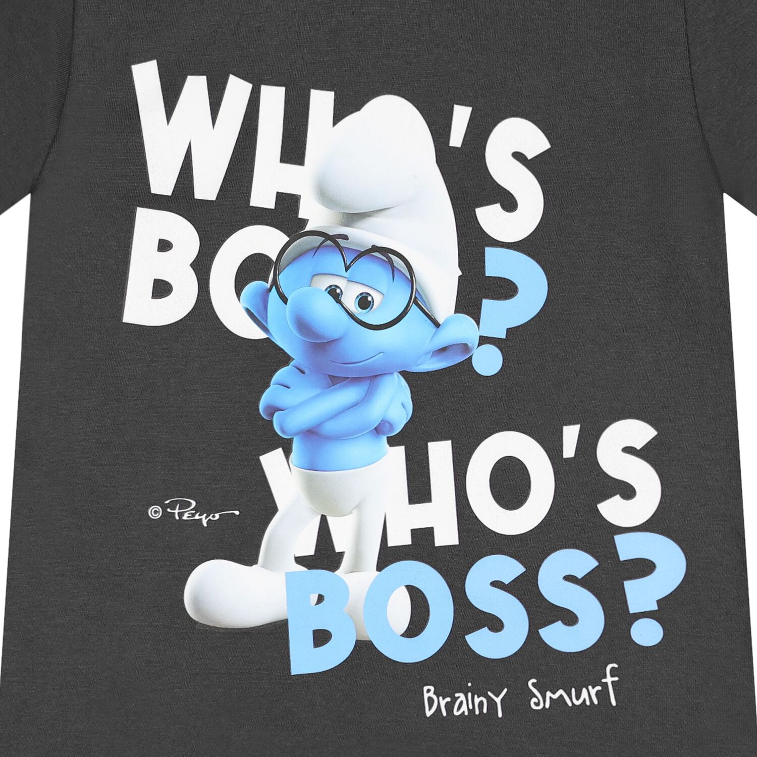 Boys Grey Smurfs T-Shirt, 1, hi-res