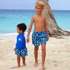 Boys Blue Puffer Fish Swim Shorts, 1, hi-res