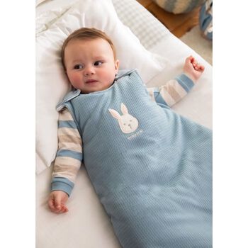 Baby Boys Blue Bunny Sleeping Bag