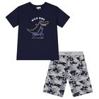 Boys Navy Blue & Grey Crocodile Shorts Set, 2, hi-res