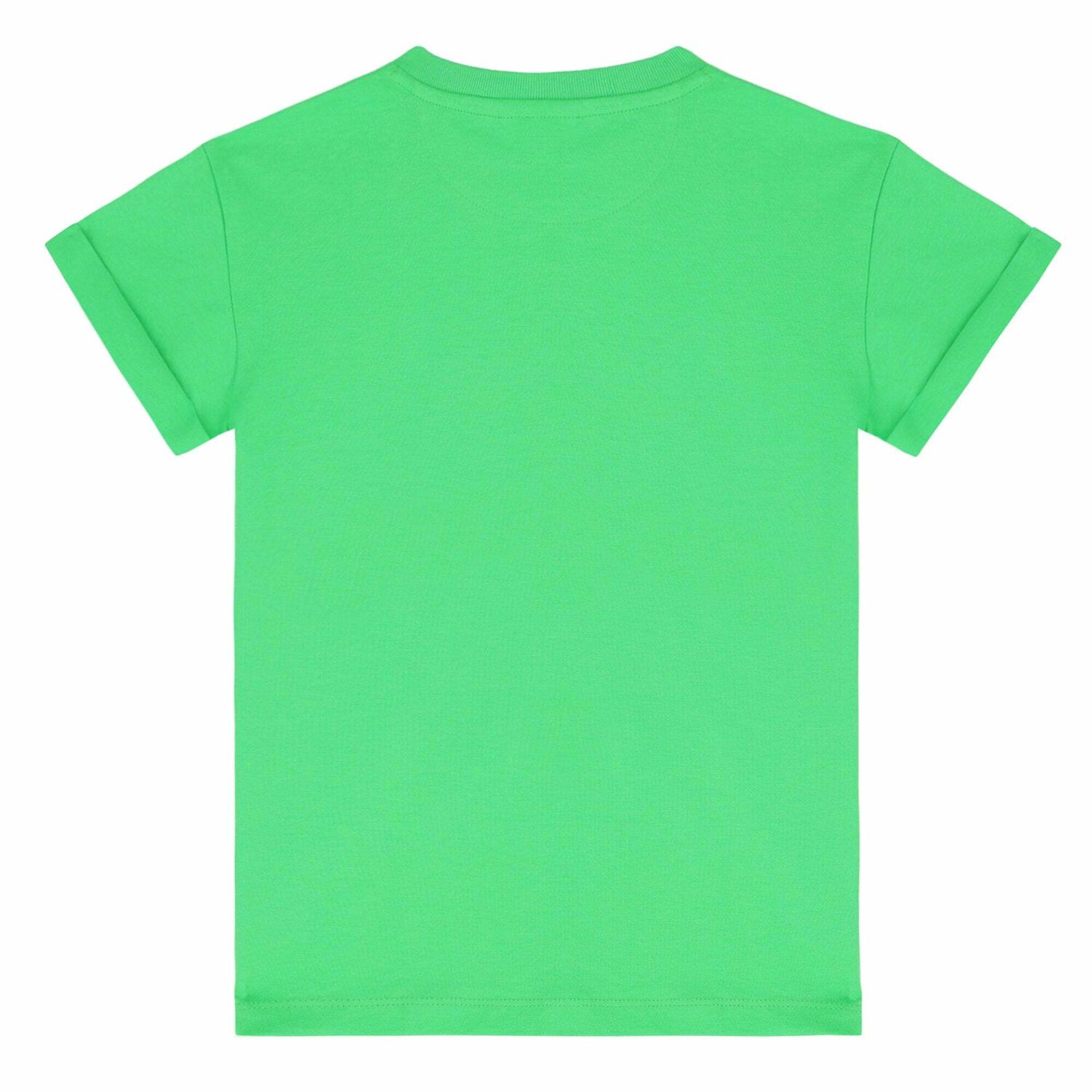 Boys Green Palm Tree T-Shirt, 1, hi-res