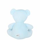 Baby Boys Blue Teddy, 2, hi-res